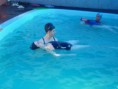 /album/fotogaleria-nosotros/fotos-natatorio-021-jpg/